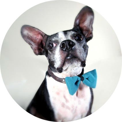 Peanut Loves Butter: Upcycled Cotton Bowtie
